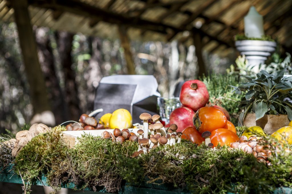 funghi e melgrani 1 1024x683 - Tuscan Excelsia per Mercedes-Benz: evento dal sapore country